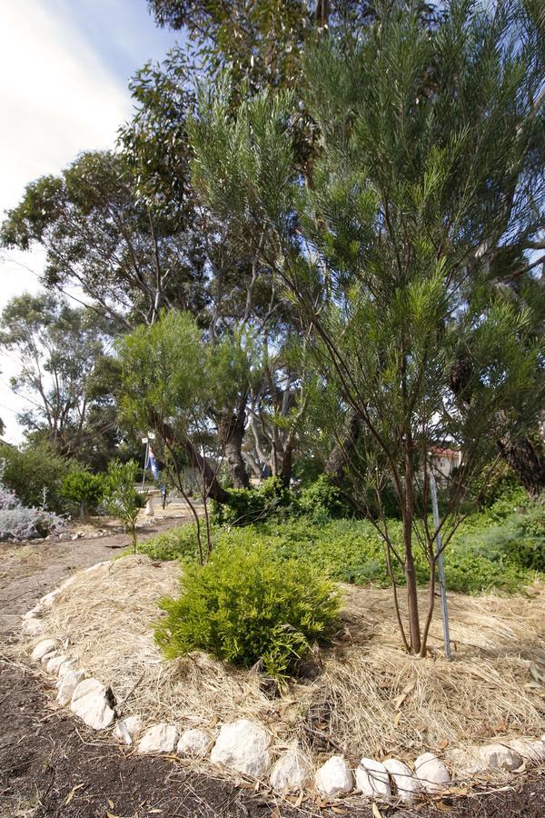 Cape Jervis Holiday Units מראה חיצוני תמונה